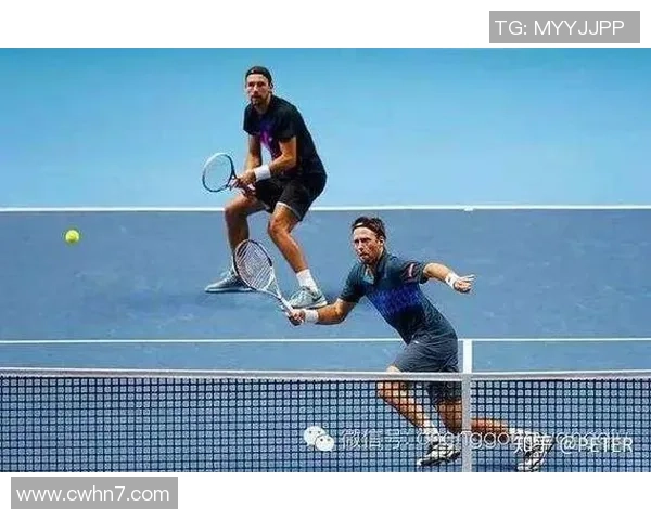 深度分析深圳网球队区域防守战术及其战绩影响因素